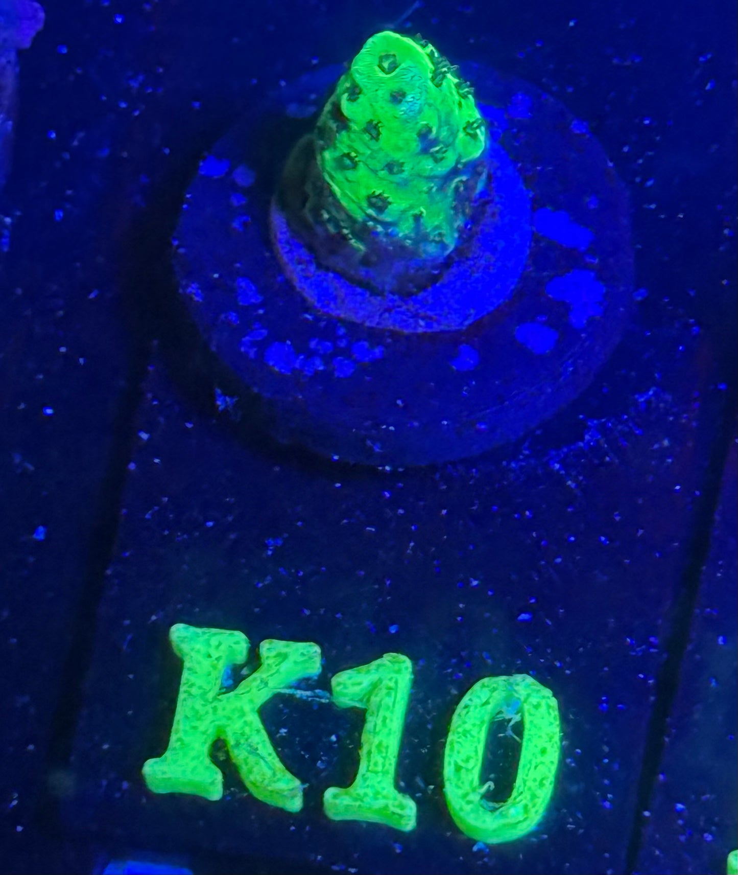 K10