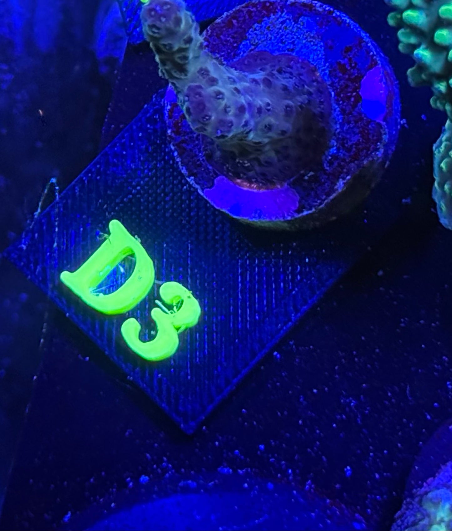 D03