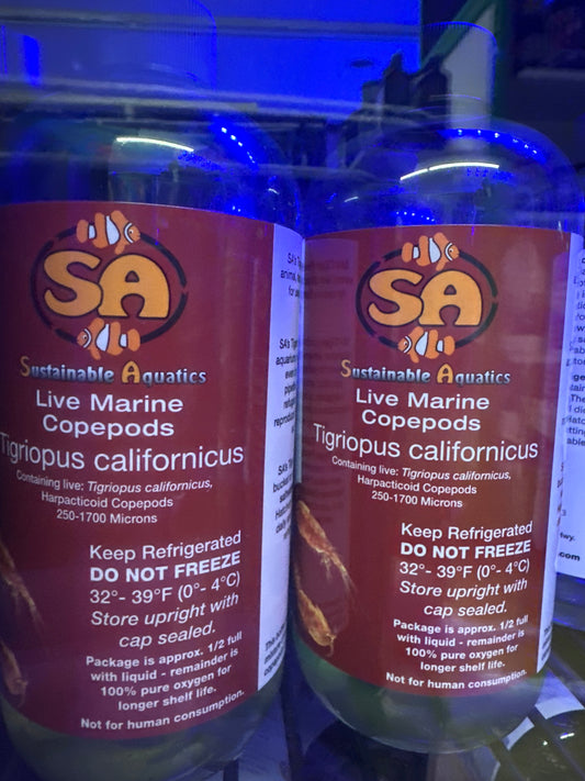 Sustainable Aquatics Copepods