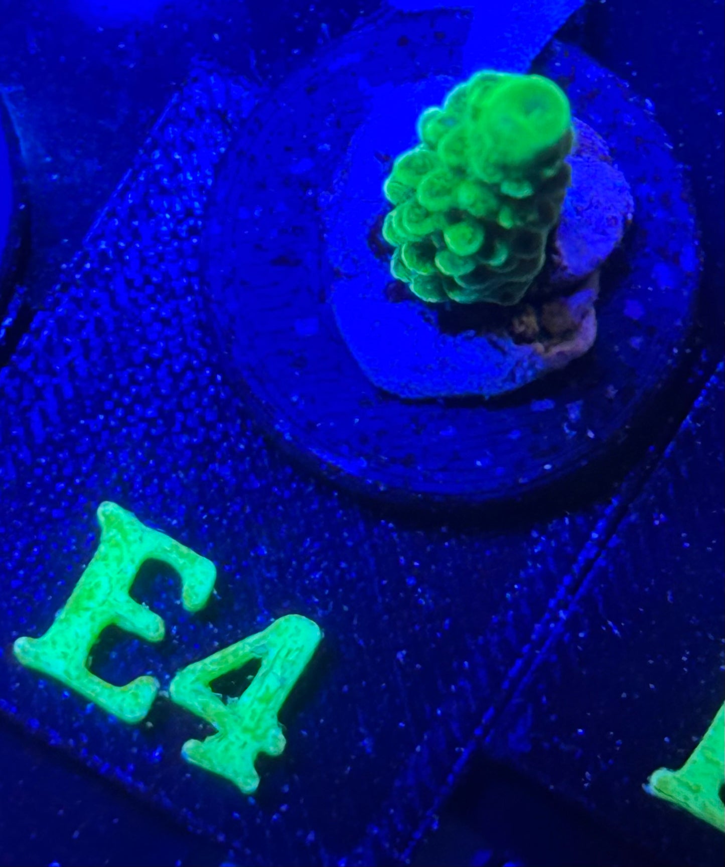 E04