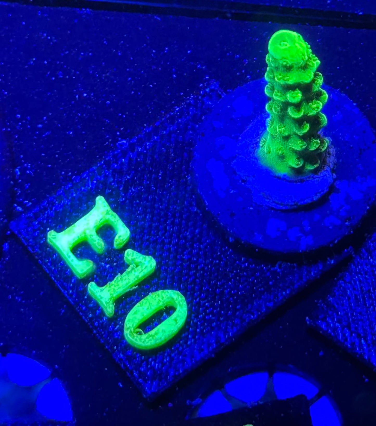 E10