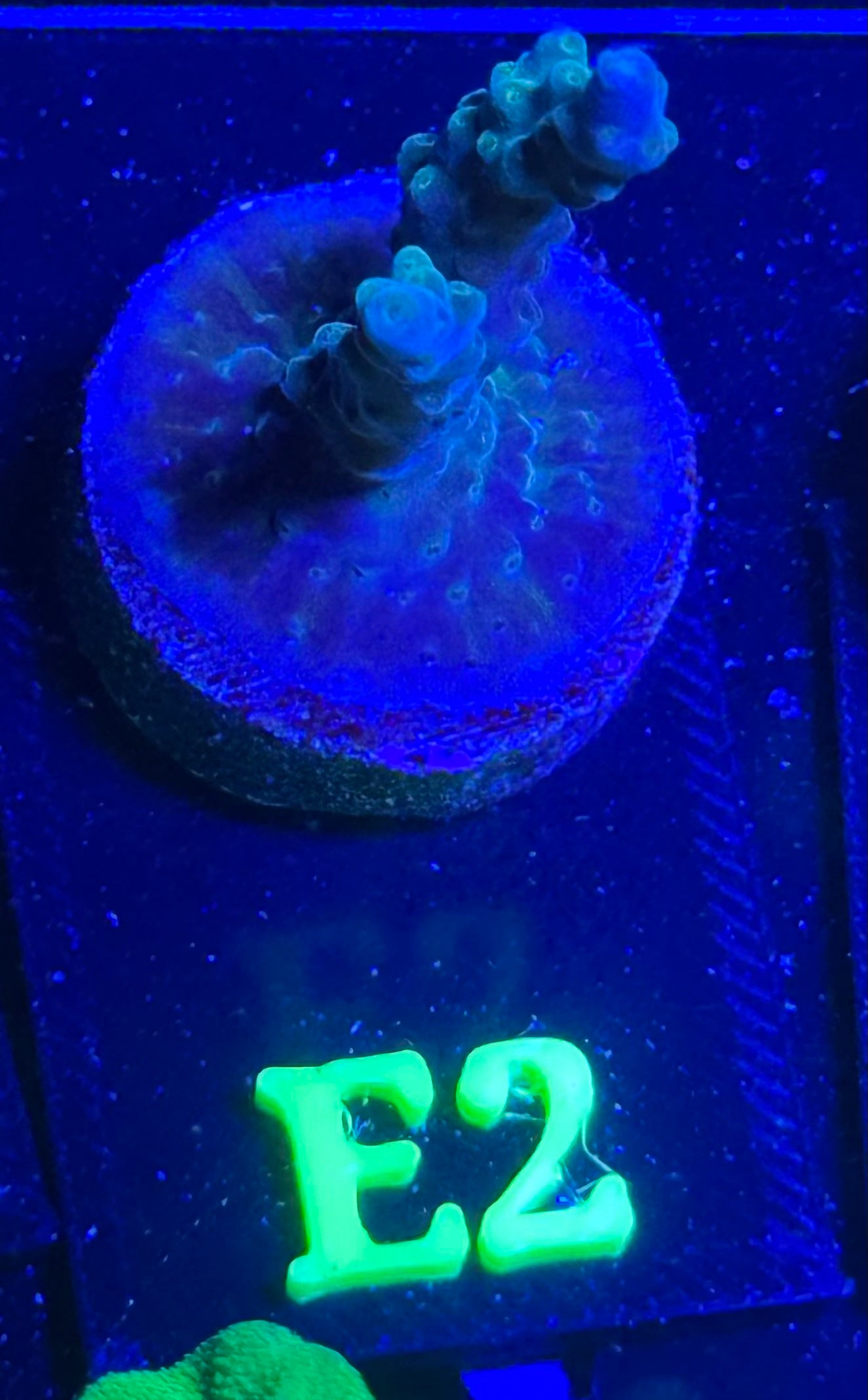 E02