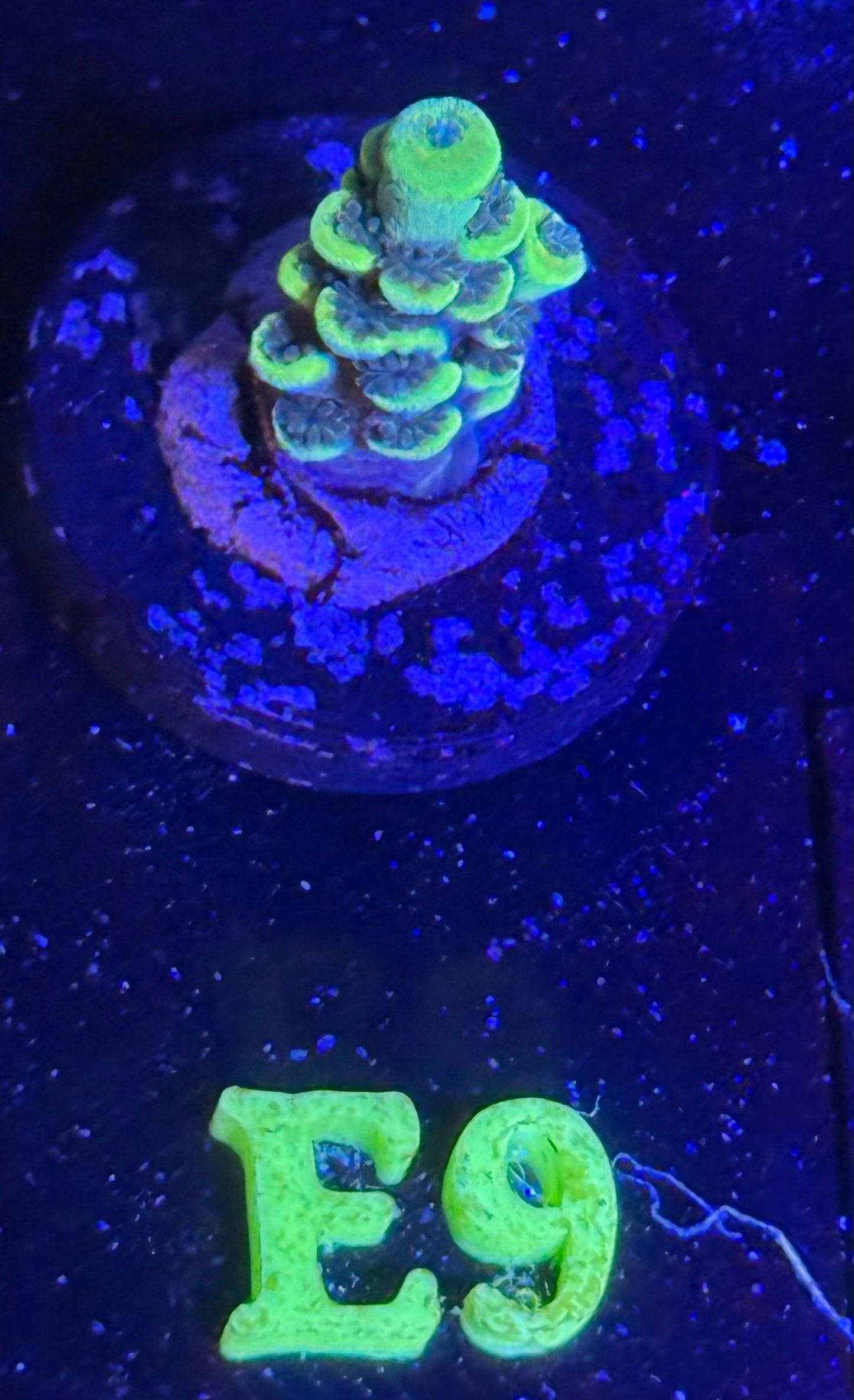 E09