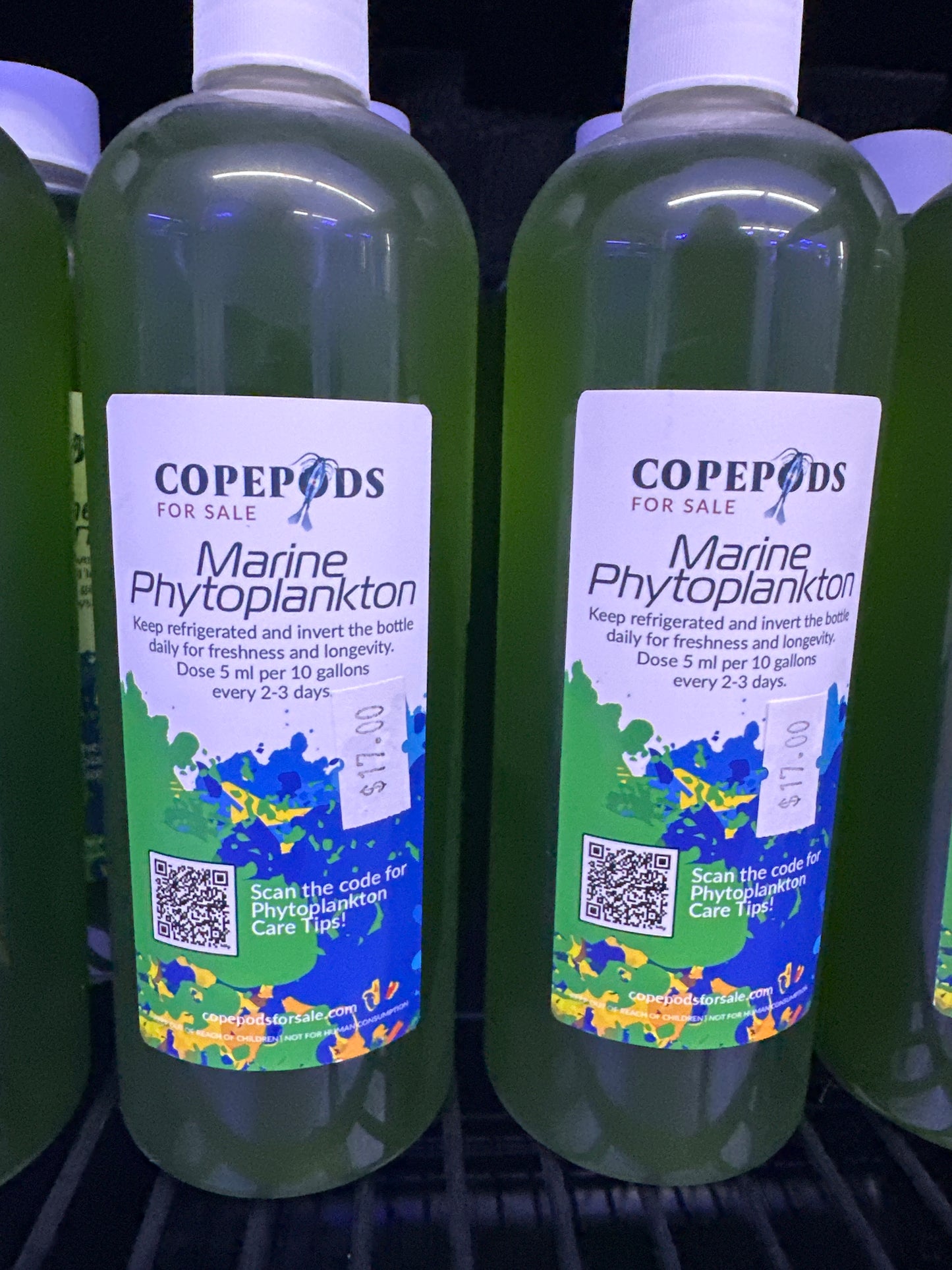 CFS Marine Phytoplankton