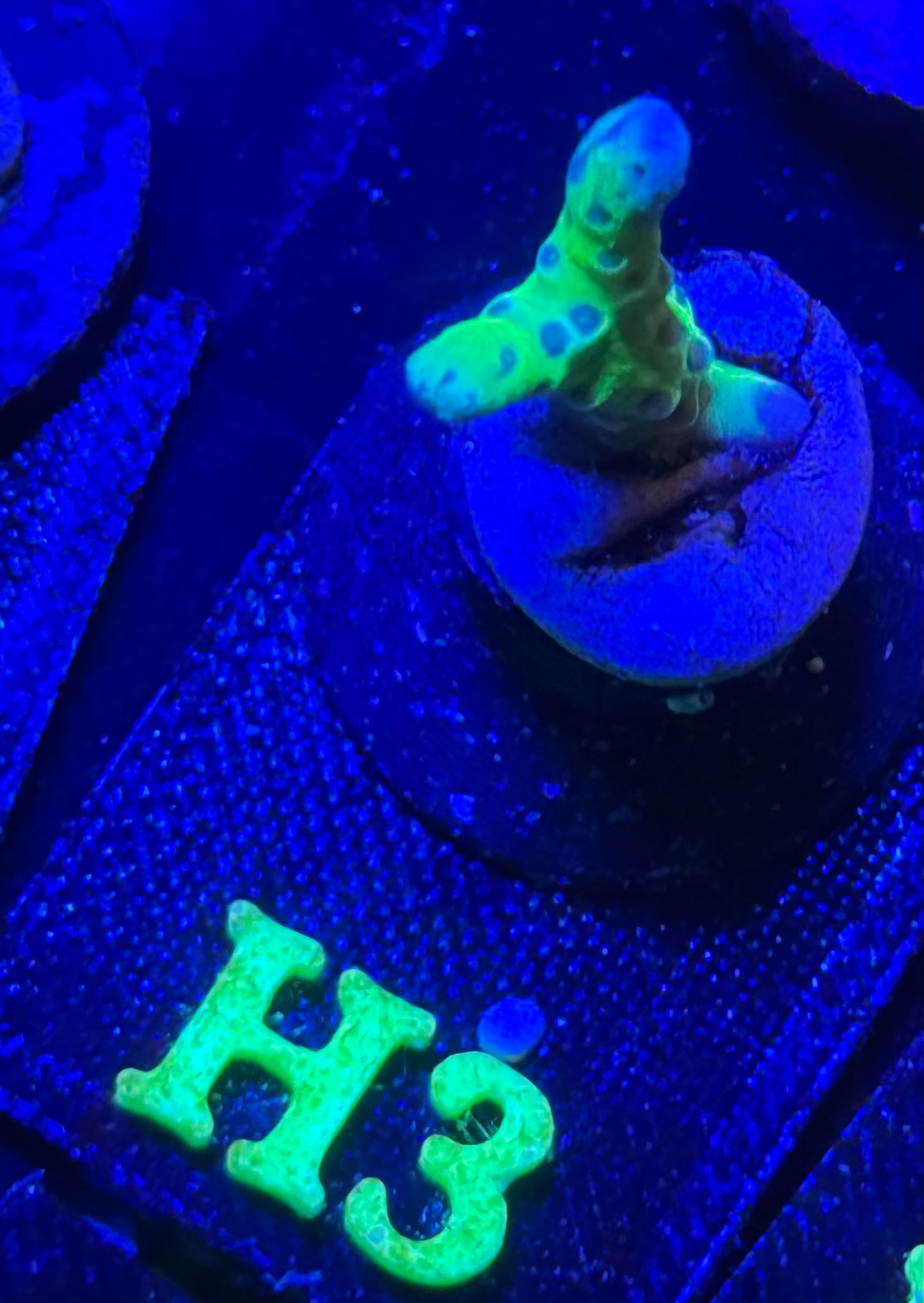 H03