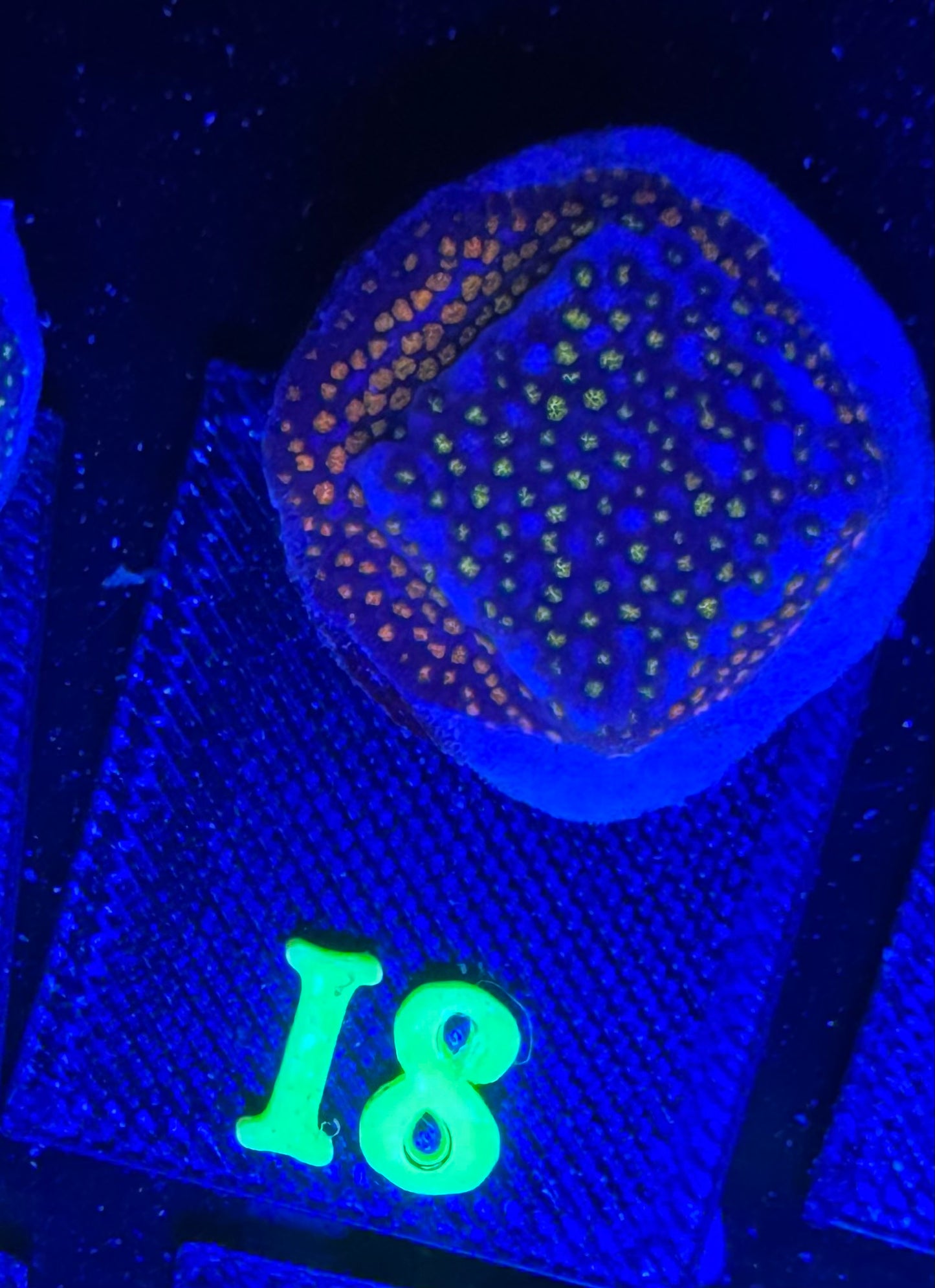 I08