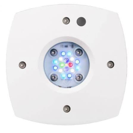 Ai Prime 16HD Reef Light