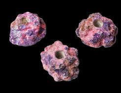 Ecorock Frag Plug Holder