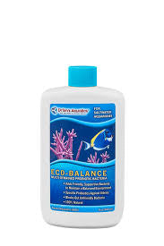 Dr Tim Eco-Balance (4oz)
