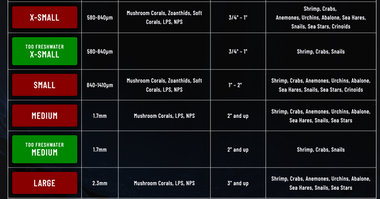 Reef Nutrition TDO Chroma Boost Lg (3oz)