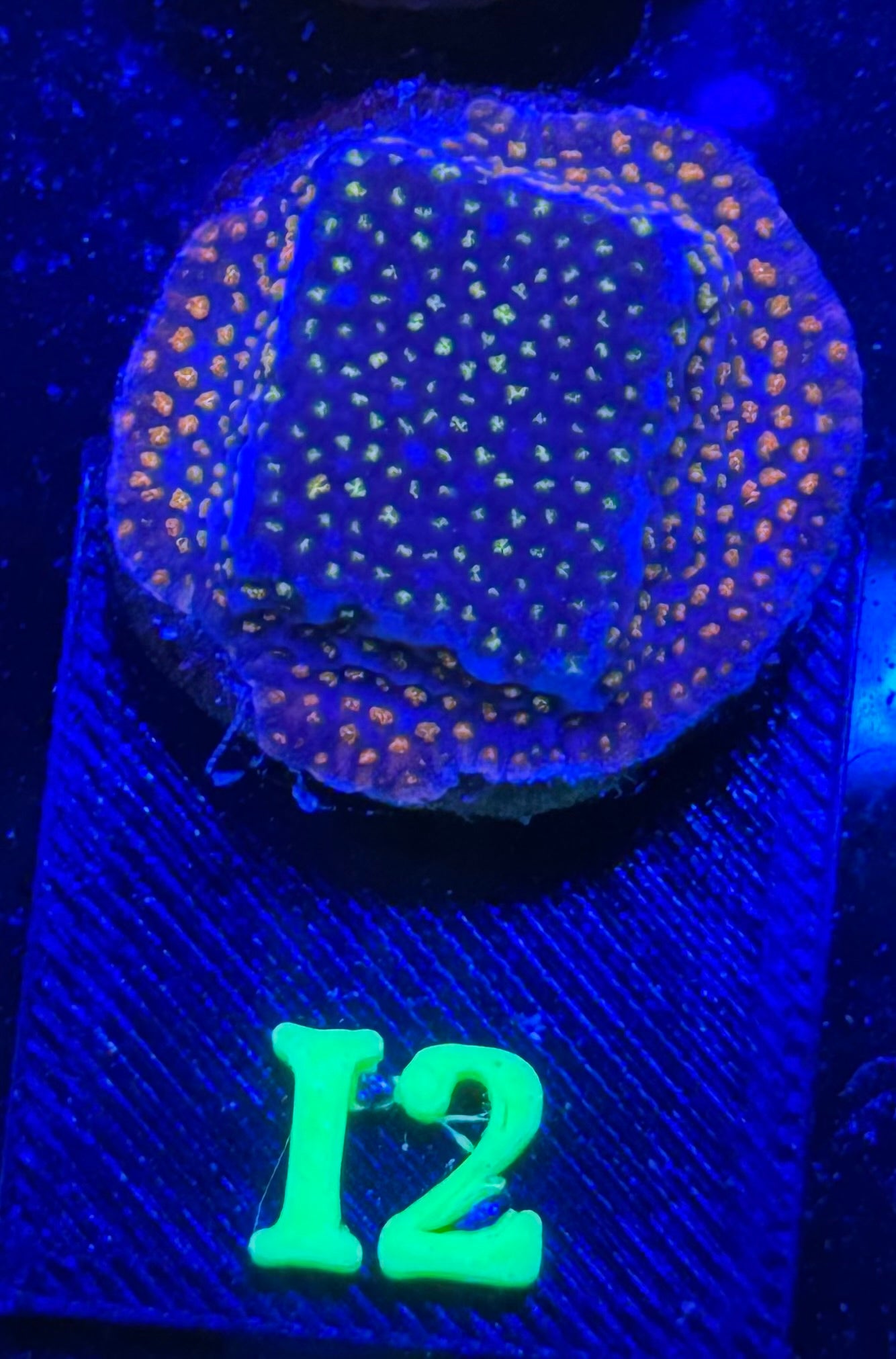I02