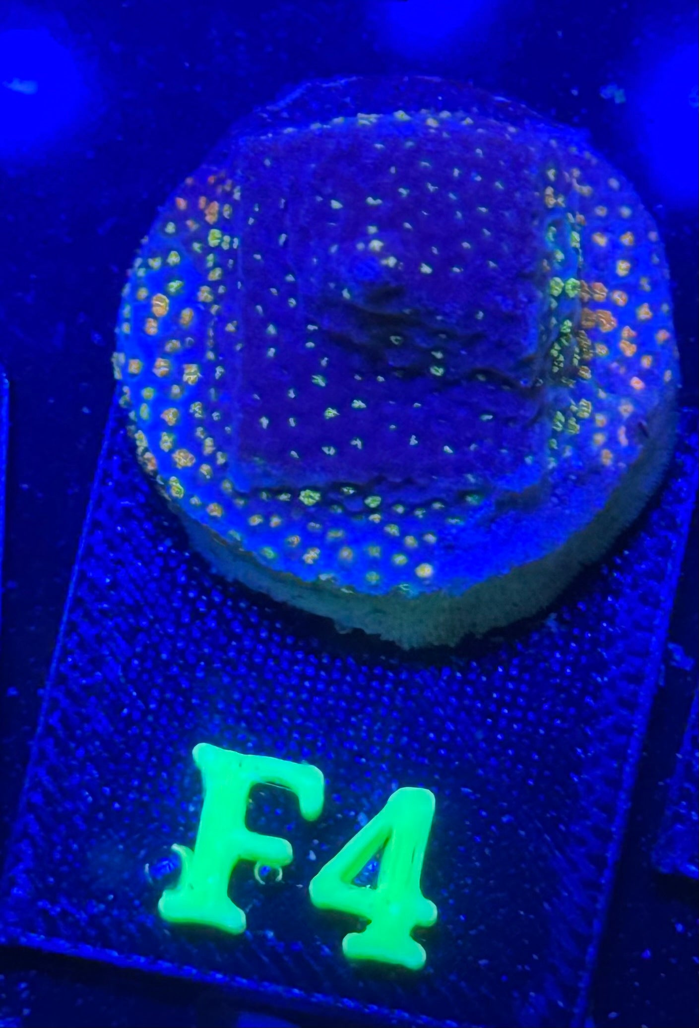 F04