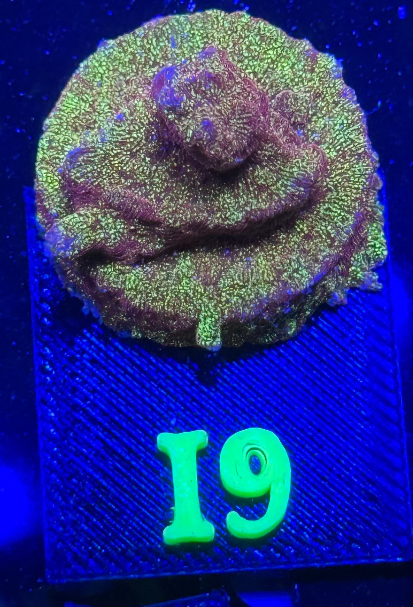 I09