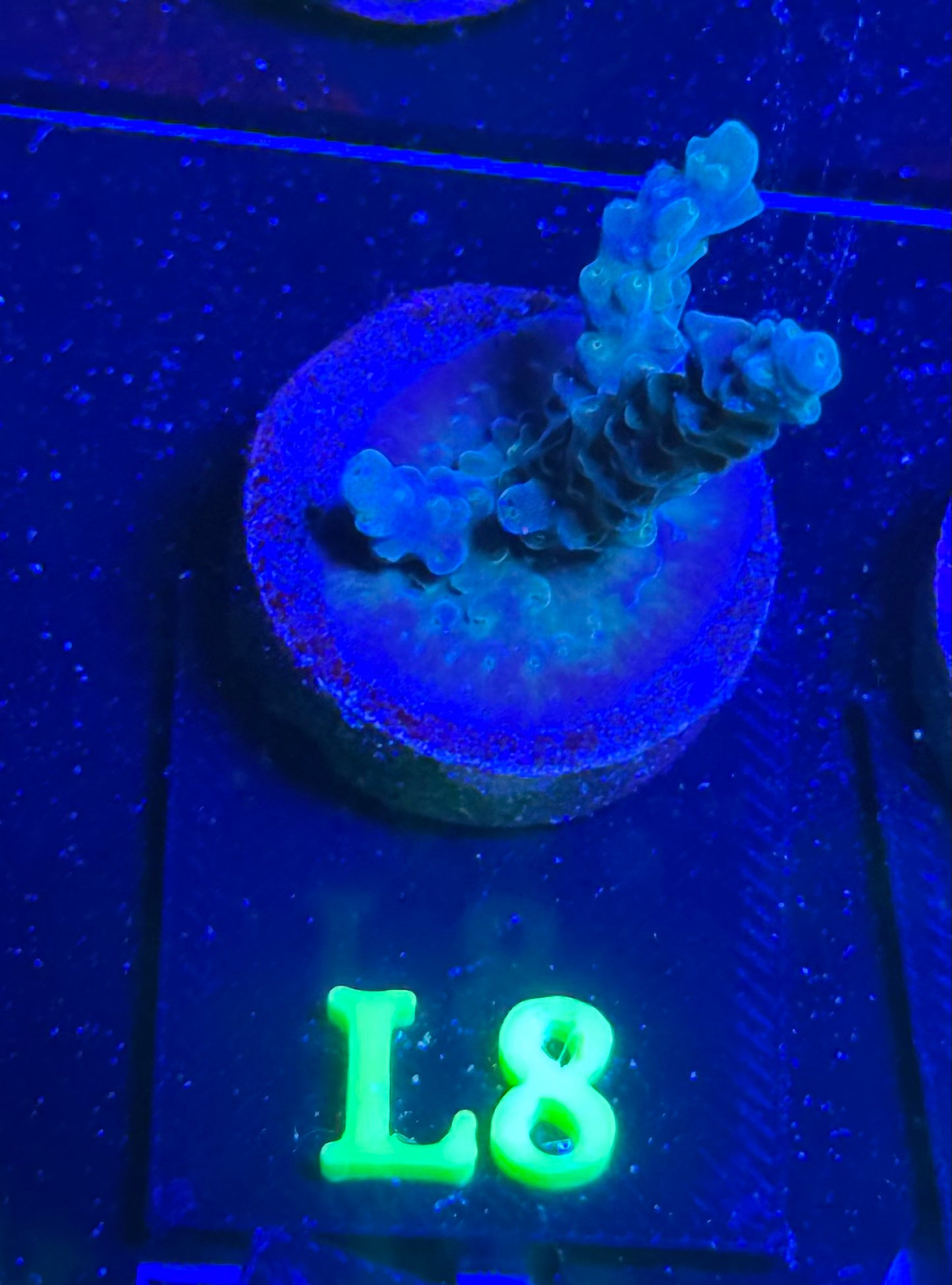 L08