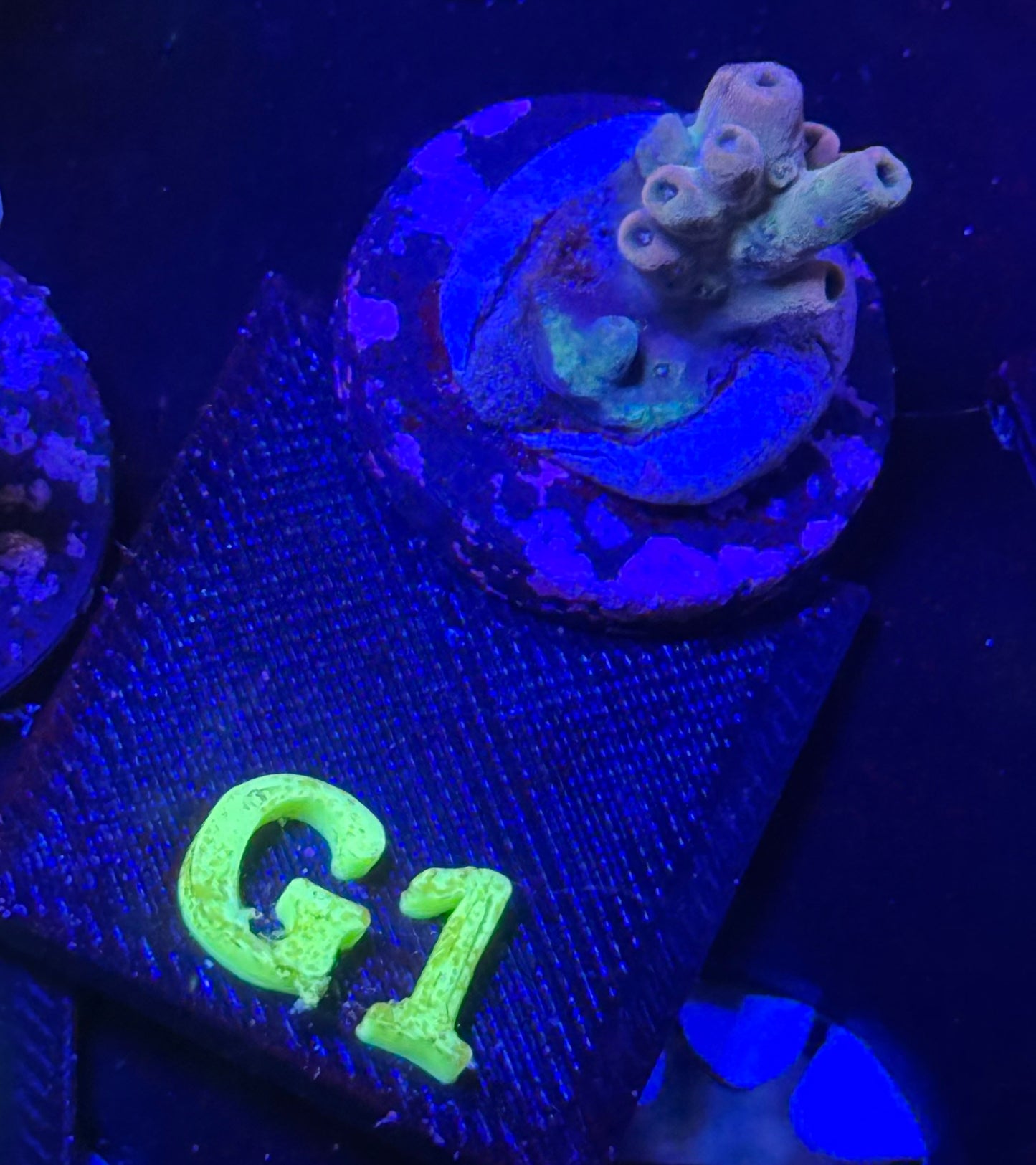 G01