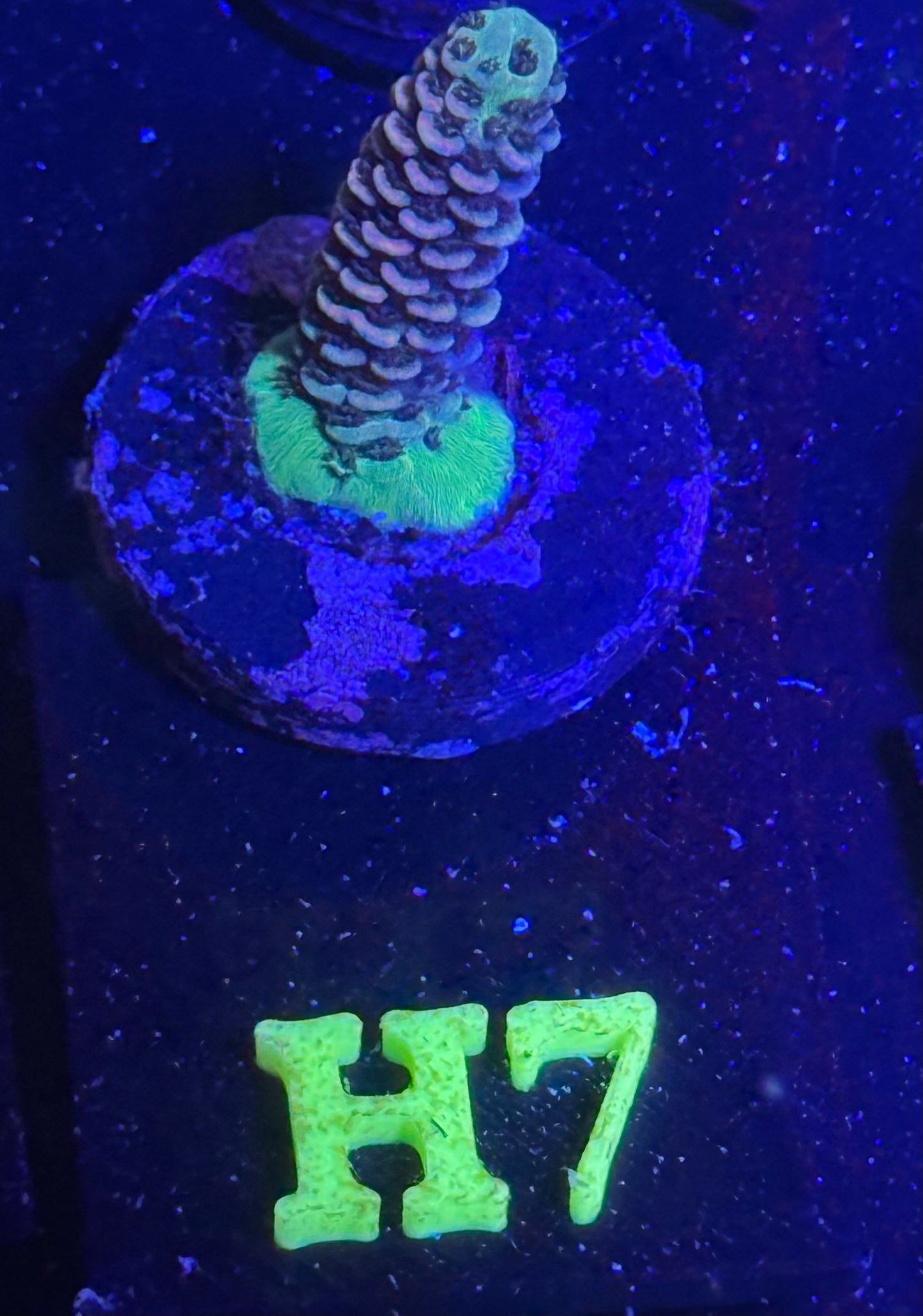 H07