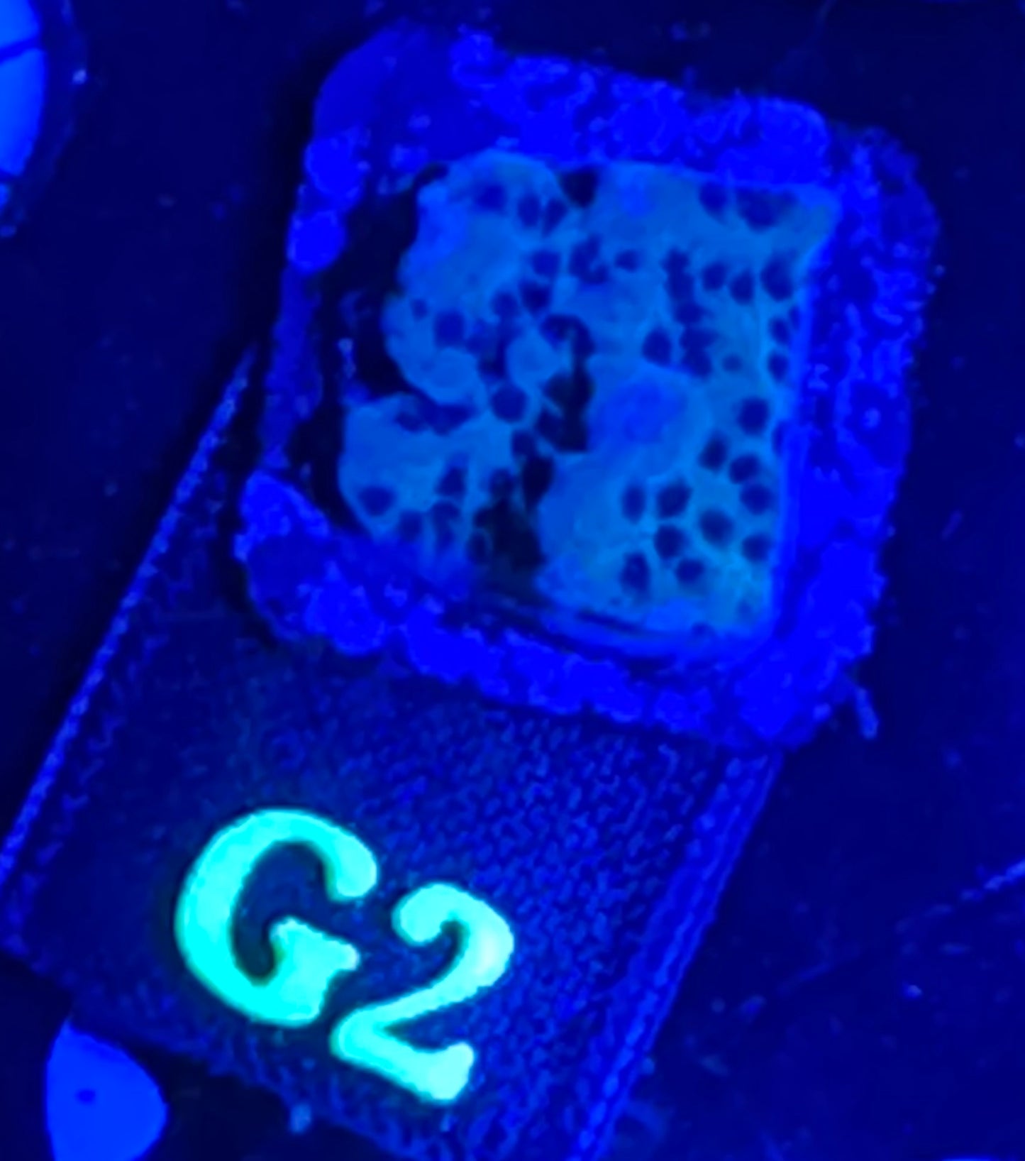 G02