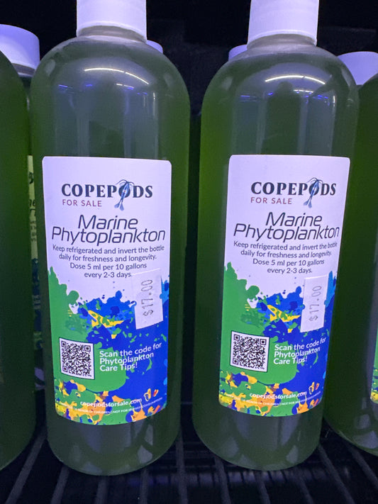 CFS Marine Phytoplankton