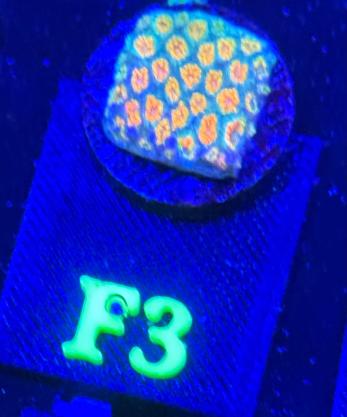 F03