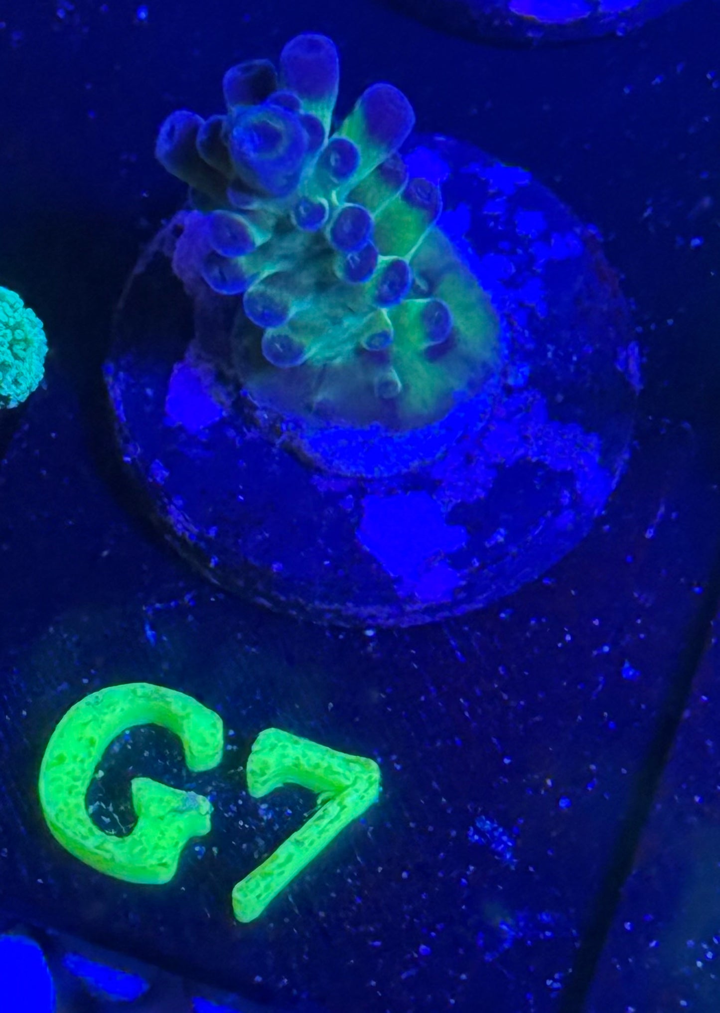 G07