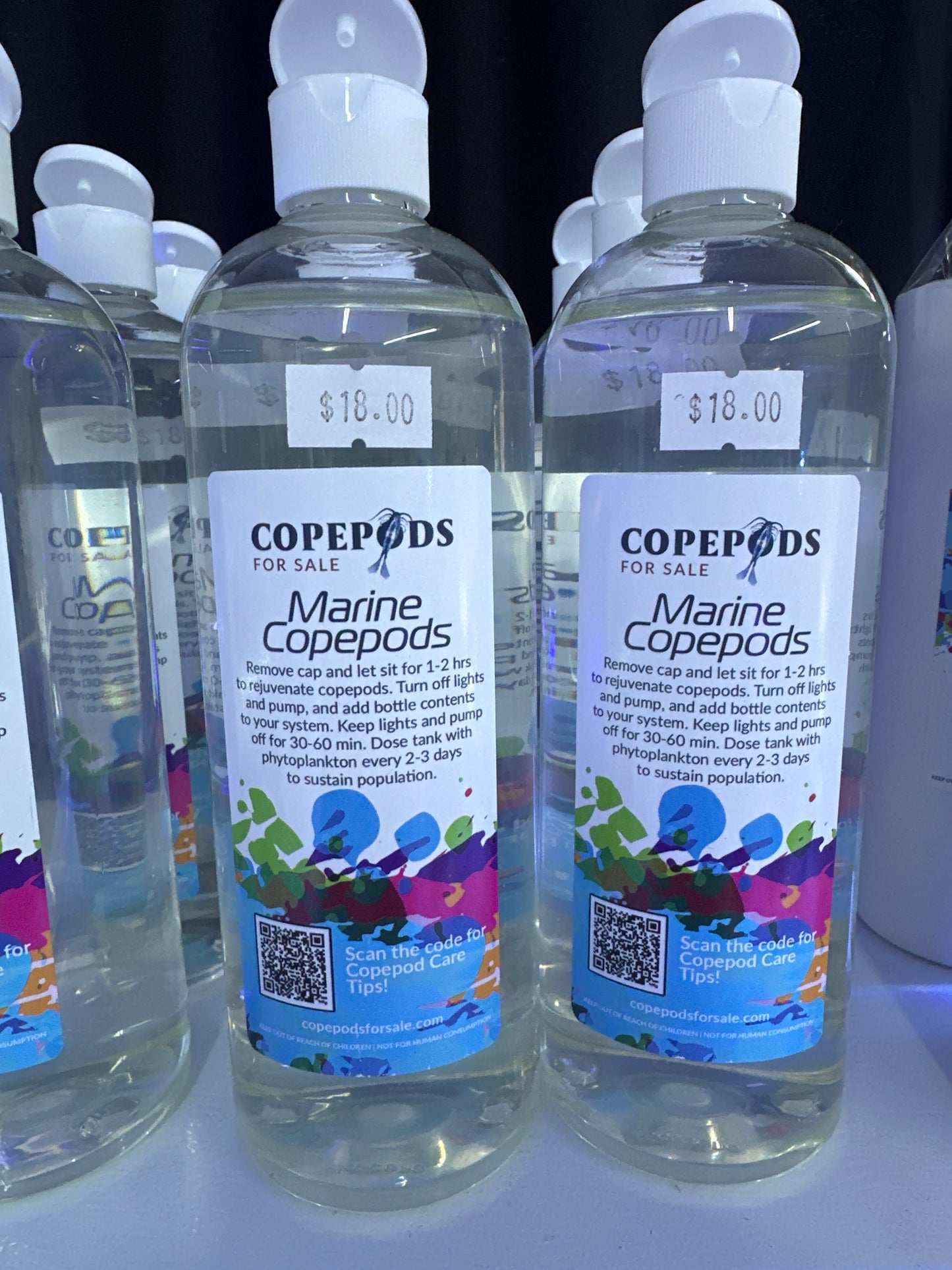 CFS Marine Copepods