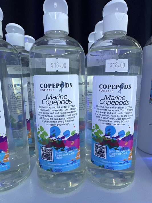 CFS Marine Copepods