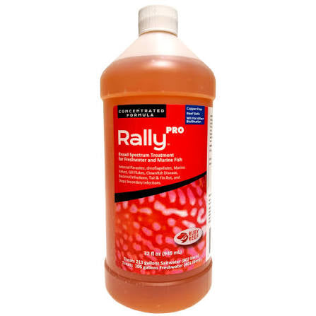Ruby Reef Rally Pro (32oz)