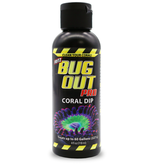 Fritz Bugout Coral Dip