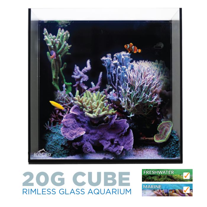Icecap 20 Gallon Rimless Cube