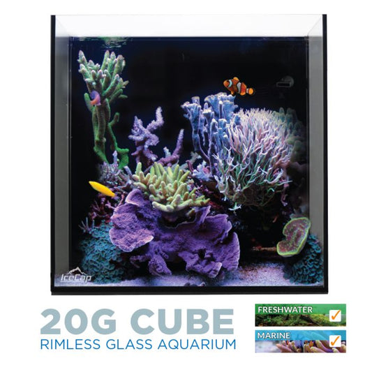 Icecap 20 Gallon Rimless Cube