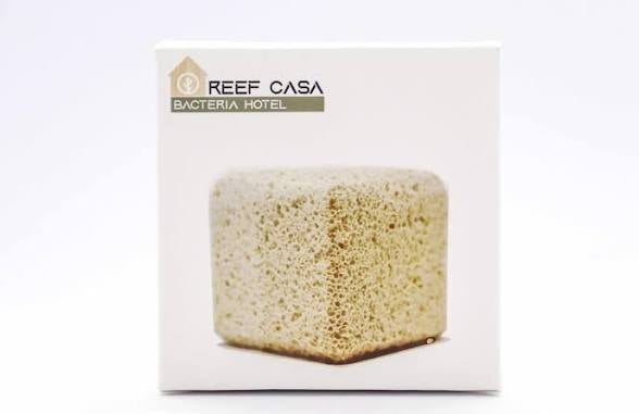 Reef Casa Bacteria Hotel