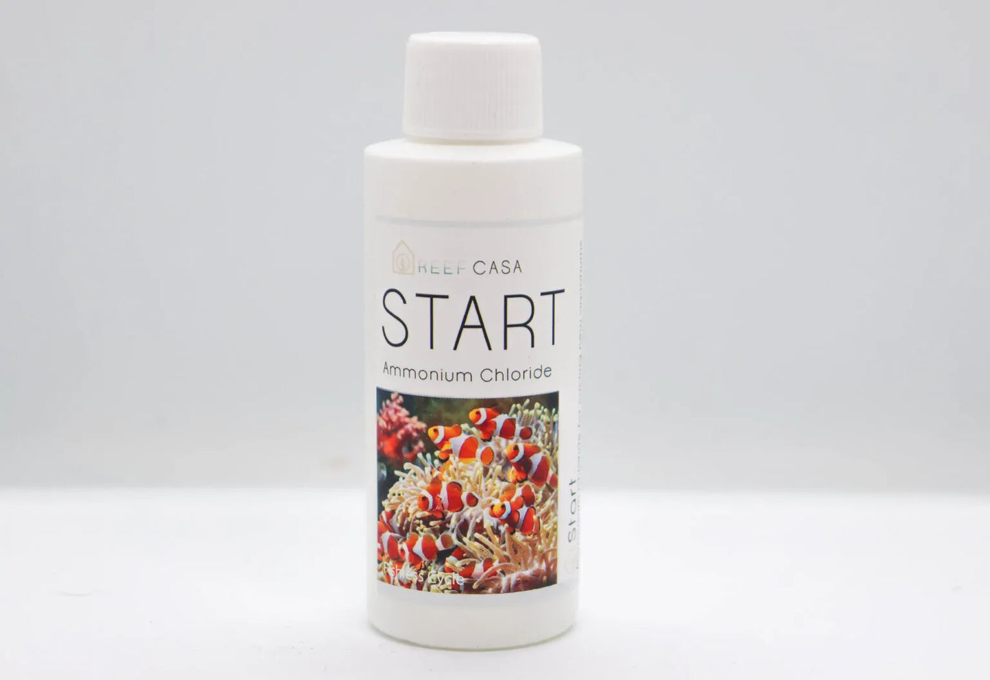 Reef Casa Start