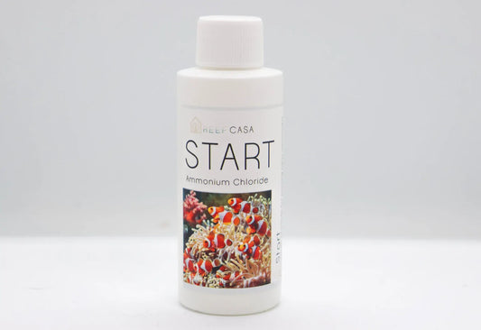 Reef Casa Start