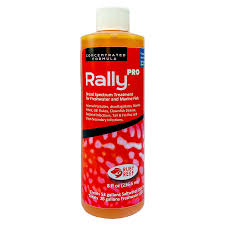 Ruby Reef Rally Pro (8oz)